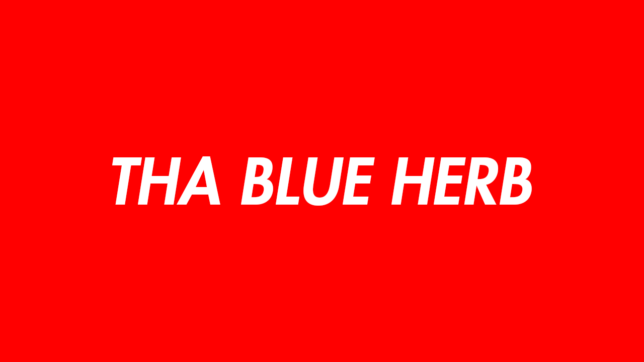 ラッパーTHA BLUE HERB